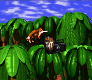 dkc_1