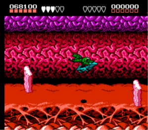 battletoads_nes